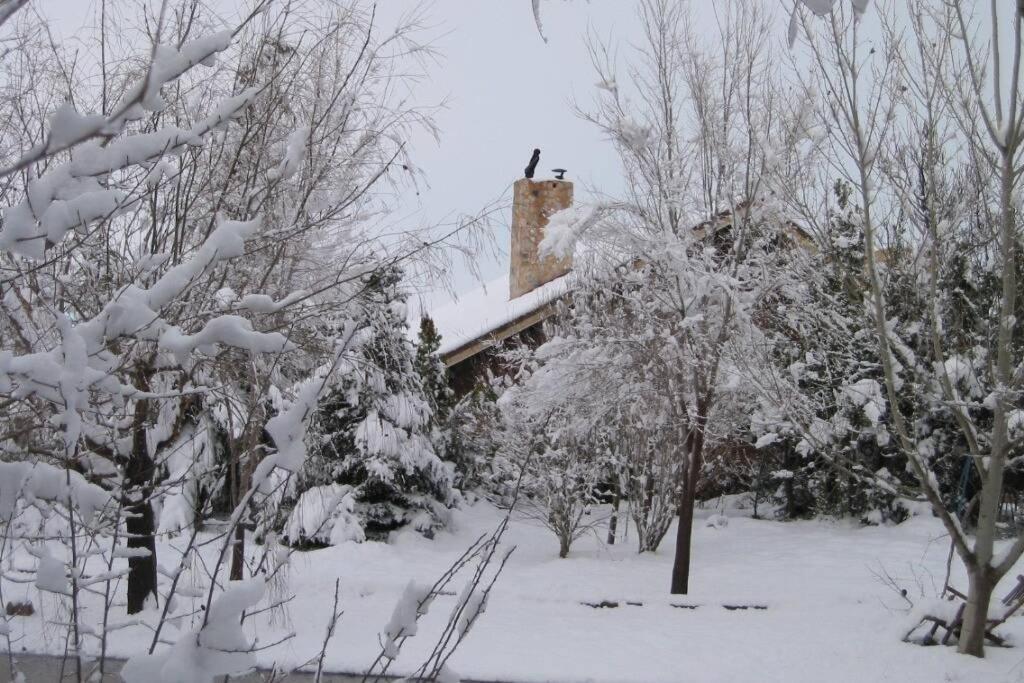 Casa En El Campo Con Encanto Almansa Dış mekan fotoğraf