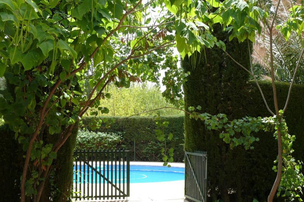 Casa En El Campo Con Encanto Almansa Dış mekan fotoğraf